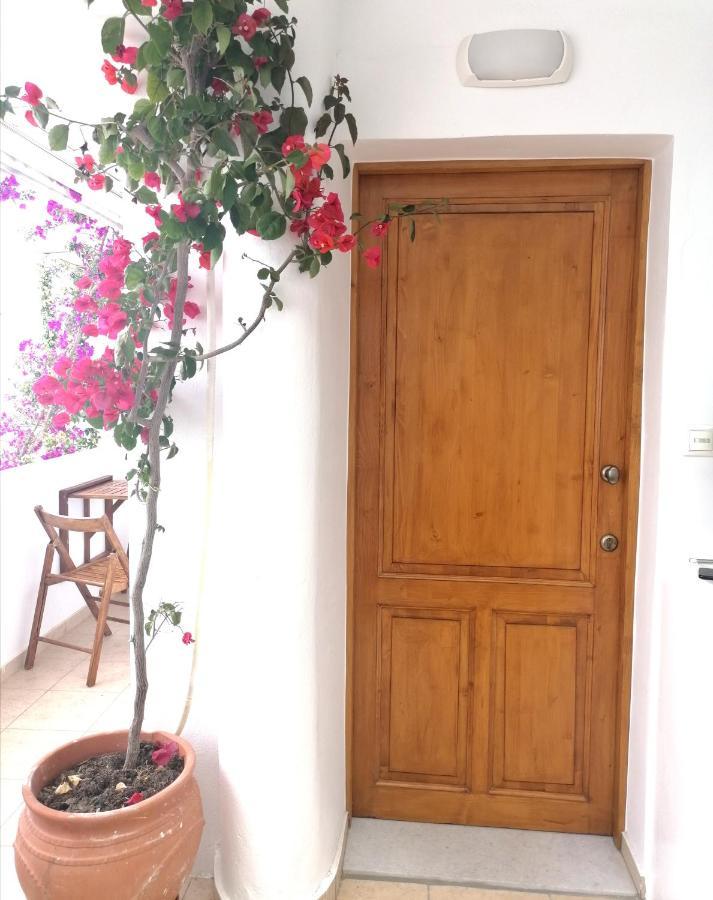 Apartamento Casa Athena Naxos Naxos City Exterior foto
